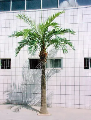 Финиковая пальма пейзаж, панорама, …» — создано в Шедевруме
