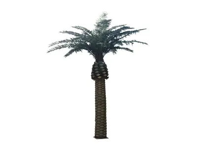 Финиковая пальма Гигантская 10.46842N_10.46848N – купить в Москве