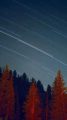 Night Wood Mountain Star Sky Nature #iPhone #5s #wallpaper | Фоновые  изображения, Природа, Обои для iphone