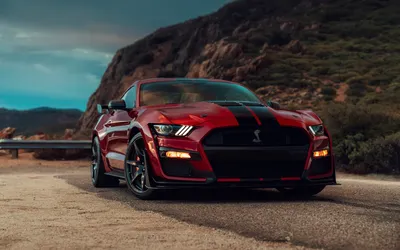 Picture Ford Mustang Shelby GT500 2019 Red Wine color Cars 3840x2400