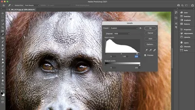 How to Use the Liquify Tool in Photoshop - Ultimate Guide | Skylum How-to