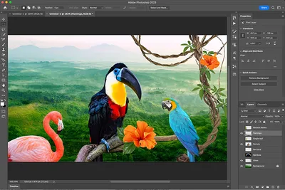 What's The Best Way to Buy Photoshop in 2024?