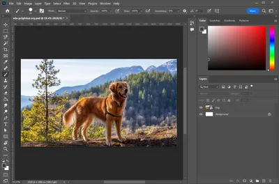 Adobe Photoshop Review 2023 | Space