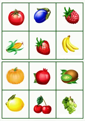 Развивающий плакат для детей учим фрукты, Формат А3, Развивашки для детей ,  Учим фрукты и овощи - купить с доставкой по выгодным ценам в  интернет-магазине OZON (641163218)