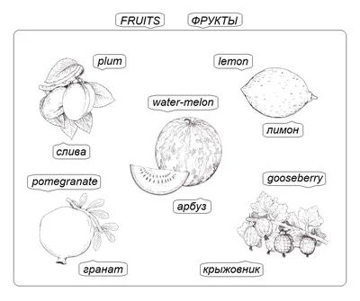 ФРУКТЫ И ЯГОДЫ НА АНГЛИЙСКОМ — EnglishPapa School на vc.ru