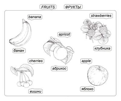 ТМ Мир поздравлений Плакат фрукты английский язык на стенд в класс обучающий