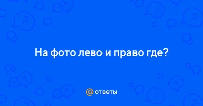 Право — лево, верх-низ. Учимся ориентироваться в пространстве