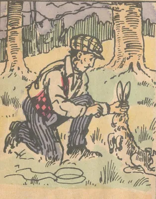 Найди браконьера на картинке, который поставил удавку на зайца | DUM-DUM |  Дзен