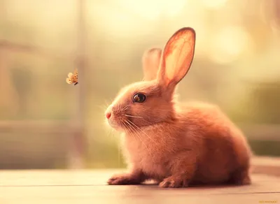 Серия картинок про зайцев. заяц-…» — создано в Шедевруме