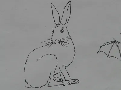 Easter Bunny. Пасхальный кролик. PNG. | Кролик, Пасхальные открытки,  Шаблоны для печати