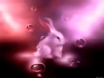 Заяц-хвастун [Автор неизвестен - Народные сказки] (fb2) картинки и рисунки  | КулЛиб электронная библиотека