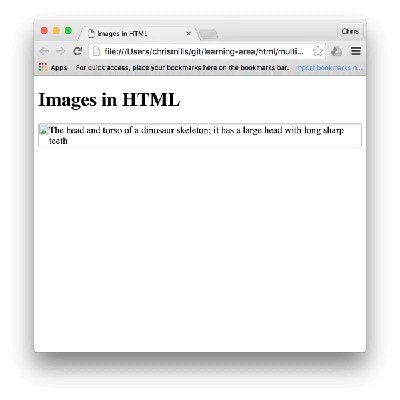 Изображения в HTML - Изучение веб-разработки | MDN