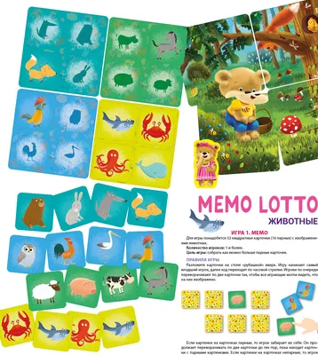 Логические игры и головоломки: для детей от 6 лет – Книжный  интернет-магазин Kniga.lv Polaris