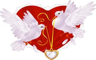 Свадебные голуби | Пикабу