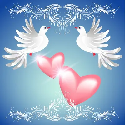 Голуби свадьбы. Белые голуби в руках молодоженов Стоковое Изображение -  изображение насчитывающей счастье, симпатично: 195903609