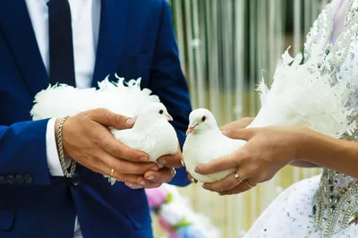 Шоу с голубями на свадьбу, юбилей | Event-агентство ANNA LEGENDA