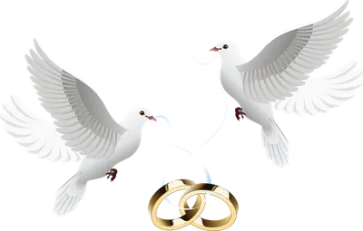 Два голубя на голубом фоне с розовыми сердечками и белым орнаментом |  Премиум векторы