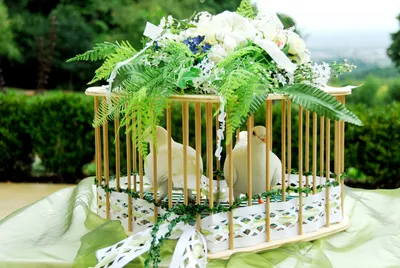 Голуби на Свадьбу 🕊 Якутск - Заказать запуск белых голубей на свадьбу,  юбилей или другое торжество
