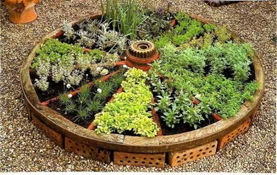 Что посадить на даче, чтобы не ухаживать, как организовать грядки | Садовые  грядки, Маленькие огороды, Современный сад