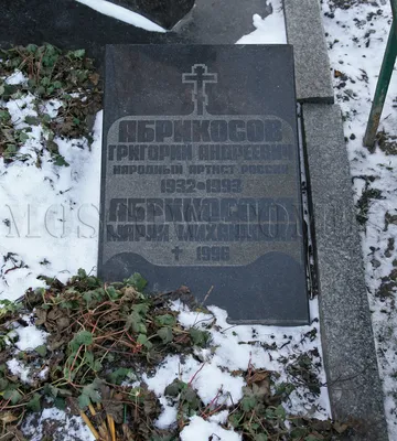 Уникальный фон с изображением Григория Абрикосова для макбука
