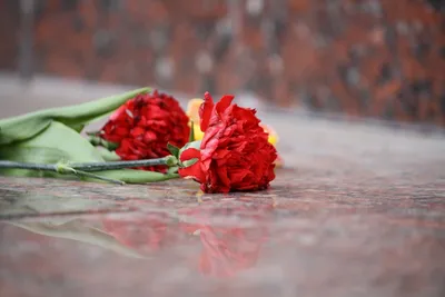 Гравировка цветов на памятник — розы, гвоздики, свечи