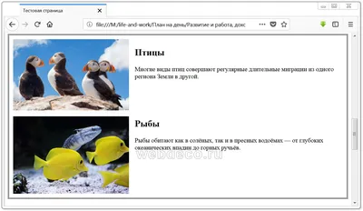 Как вставить картинку в HTML – База знаний Timeweb Community