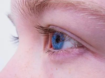 Инфекционное заболевание глаз: профилактика ячменя | Городская поликлиника  № 19