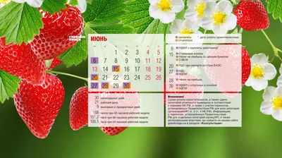 Вдохновляющие обои с календарями на июнь 2018 года для ноутбука, планшета и  телефона - Блог издательства «Манн, Иванов и Фербер»