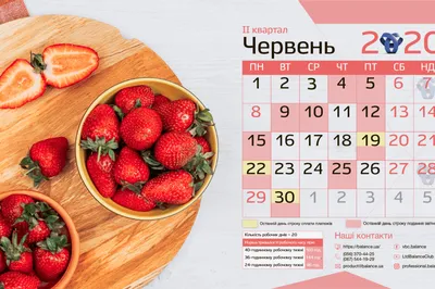 Обои на рабочий стол с фото Витебска и календарем на июль 2017 года |  Народные новости Витебска