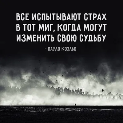 Делаю аватарки бесплатно | Нужны интересные идеи | Пикабу