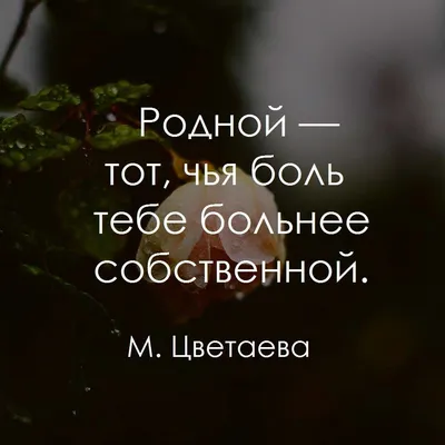 Статус картинка про настроение (45 фото) » Юмор, позитив и много смешных  картинок