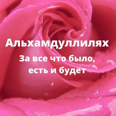 обои для мусульман девочек мусульманские обои а я то в курсе｜TikTok Search