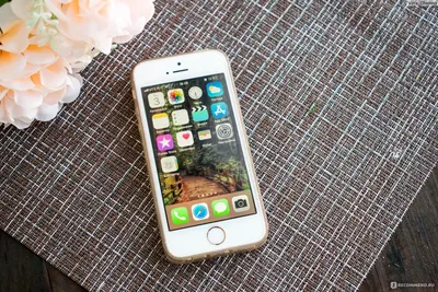 iPhone SE 3 показали на качественных рендерах — потенциальный  среднебюджетный суперхит от Apple | ICHIP.RU | Дзен