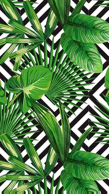 Pin by Евгения Нозадзе on Качественные обои на телефон | Tropical  wallpaper, Wall art prints, Leaves wallpaper iphone