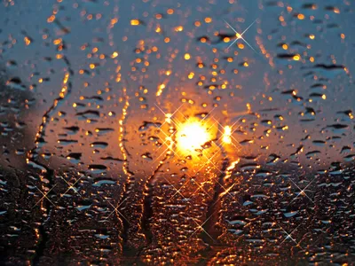 Капли Дождя Окна Стекло - Бесплатное фото на Pixabay - Pixabay