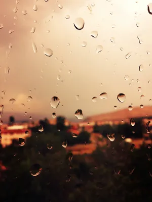 Капли дождя стекают по оконному стеклу в дождливый день, Stock Footage  Включая: дождь и капли - Envato Elements