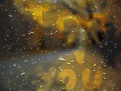 Скачать обои Капли дождя на стекле на рабочий стол из раздела картинок Дождь