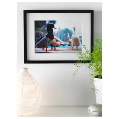 RIBBA black, Frame, 30x40 cm - IKEA