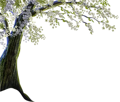 дерево на прозрачном фоне иллюстрация вектора. иллюстрации насчитывающей  высокоросло - 234775629