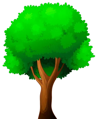 Грушевое Дерево Прозрачном Фоне Векторное изображение ©interactimages  522444940