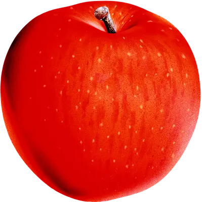 Иллюстрация красное яблоко на прозрачном | Премиум векторы