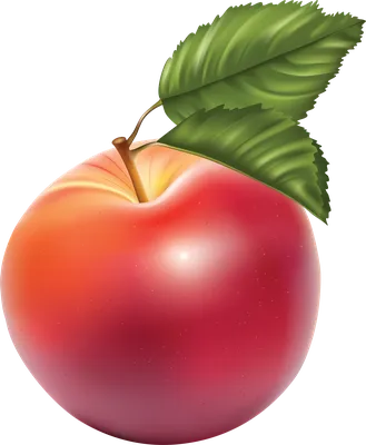 зеленое яблоко на прозрачном фоне в реалистичном стиле. векторная  иллюстрация Иллюстрация вектора - иллюстрации насчитывающей свеже,  органическо: 220352126