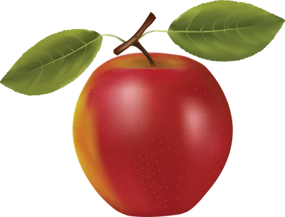 Tasty red apple PNG transparent image download, size: 1428x1702px