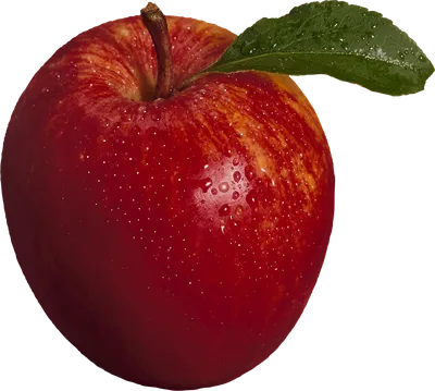 Красное яблоко изолировано на прозрачном фоне векторной иллюстрации |  Премиум векторы
