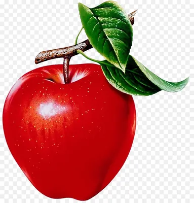 красное яблоко PNG рисунок, картинки и пнг прозрачный для бесплатной  загрузки | Pngtree