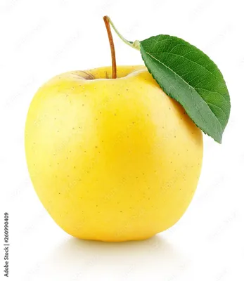 Background Hd png download - 1200*800 - Free Transparent Apple png  Download. - CleanPNG / KissPNG