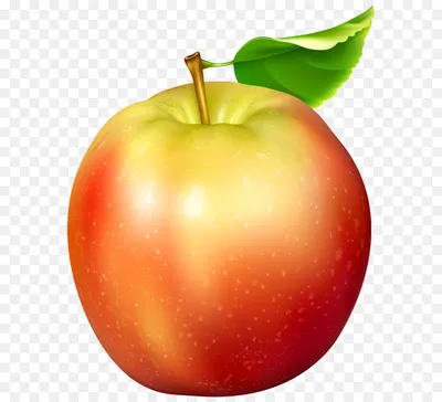 Red Apple PNG Image for Free Download