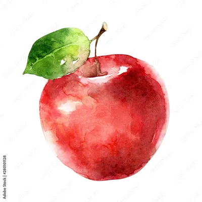 Зеленое яблоко рисунок - 69 фото