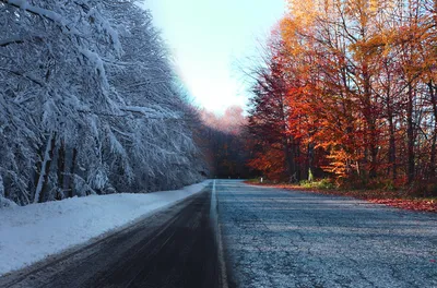 на улице холодно❄️, а ножкам тепло ☀️ 🍂ТЕРМОКОЛГОТКИ ИЗ ВЕРБЛЮЖЬЕЙ ШЕРСТИ  ❗️детские и для подростков 🍁комфортность и… | Instagram