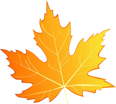 Осенняя школа Персональная страница Лист, осень, лист, кленовый лист png |  PNGEgg